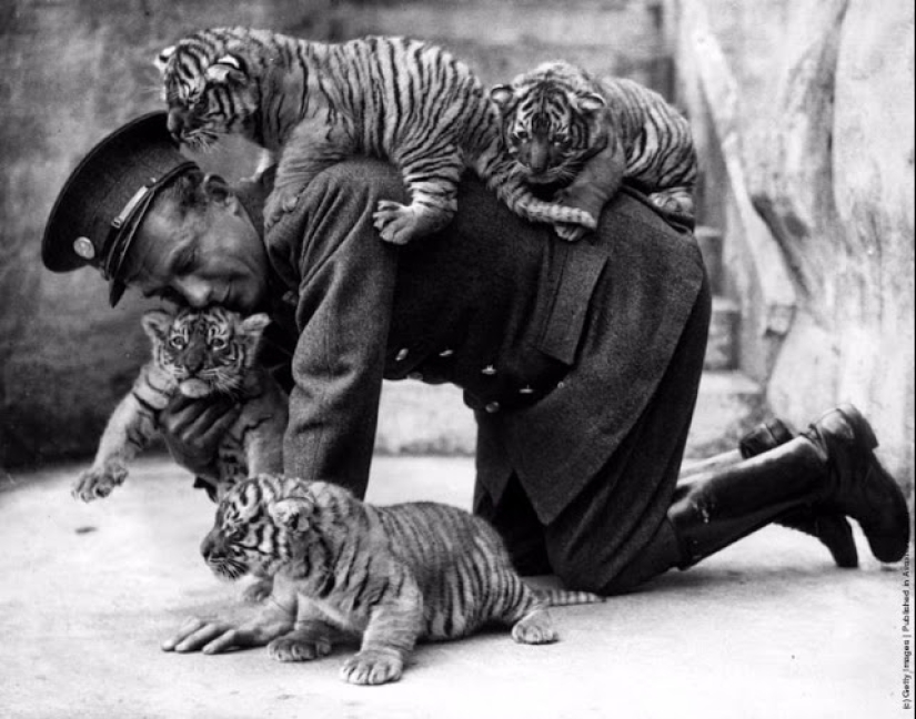 Cómo los animales del siglo XIX eran amigos de la gente