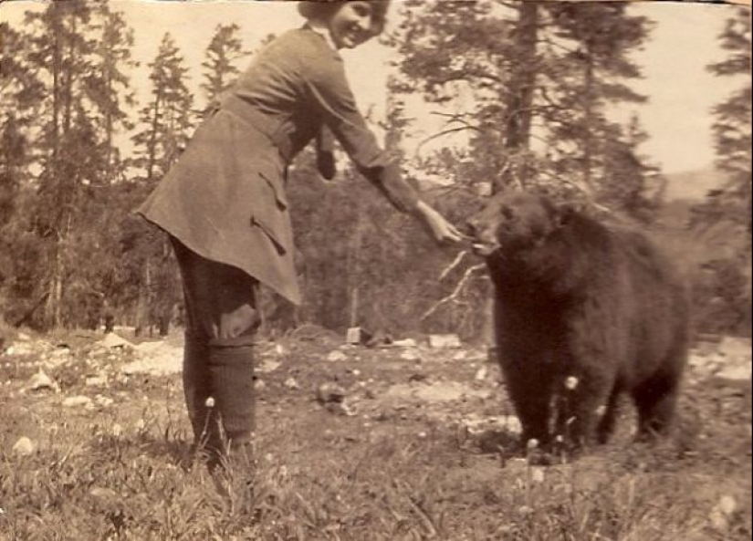 Cómo los animales del siglo XIX eran amigos de la gente