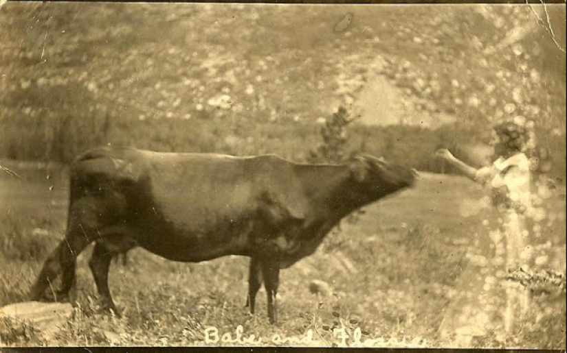 Cómo los animales del siglo XIX eran amigos de la gente