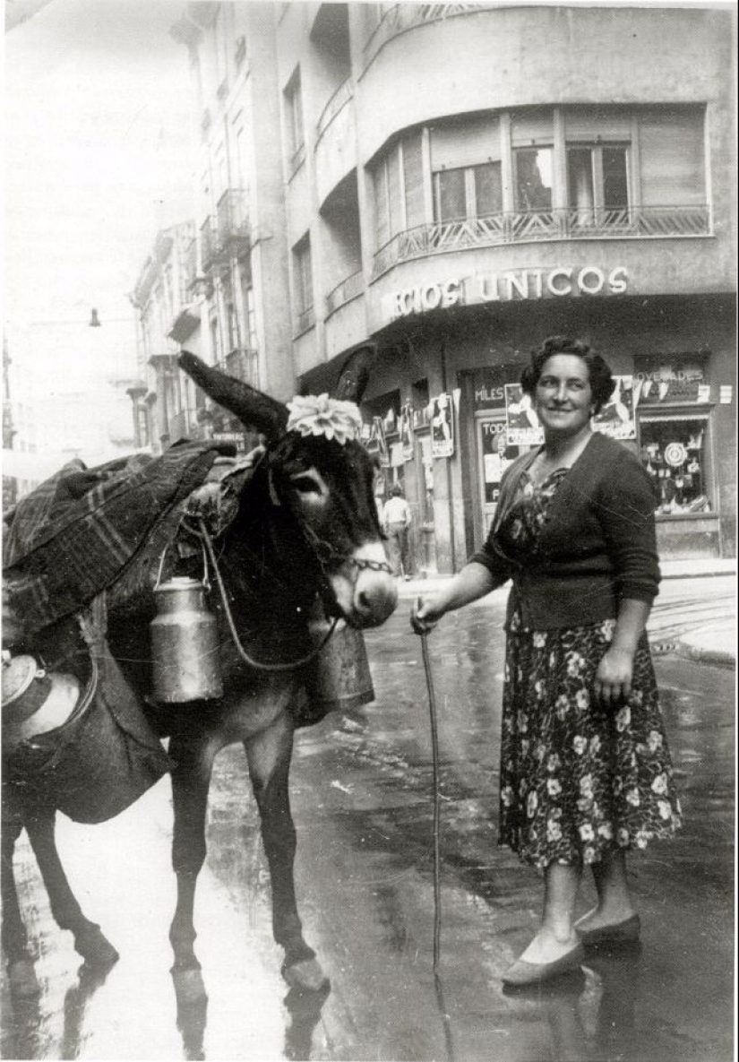 Cómo los animales del siglo XIX eran amigos de la gente