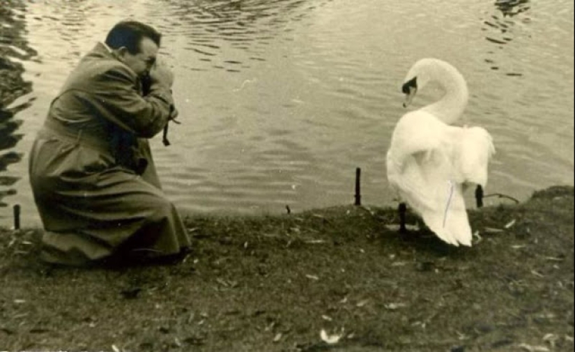 Cómo los animales del siglo XIX eran amigos de la gente