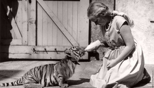 Cómo los animales del siglo XIX eran amigos de la gente