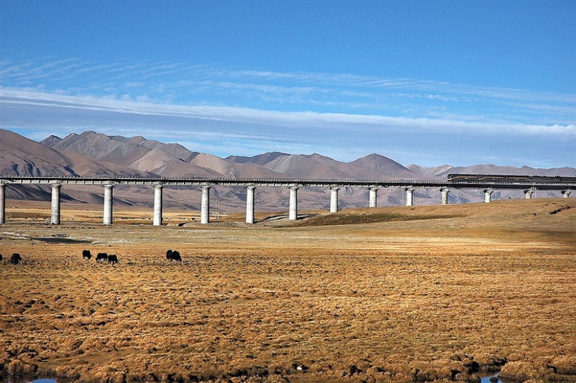 Cómo los chinos construyeron el ferrocarril al Tíbet