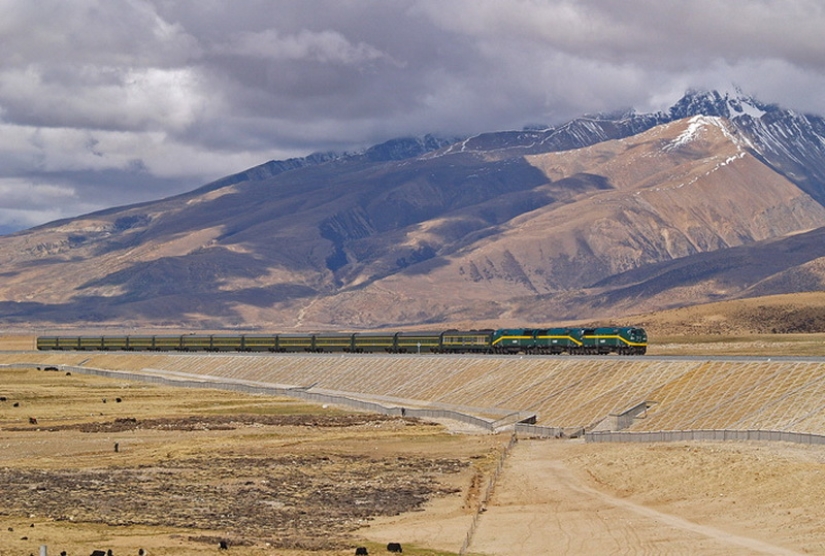 Cómo los chinos construyeron el ferrocarril al Tíbet