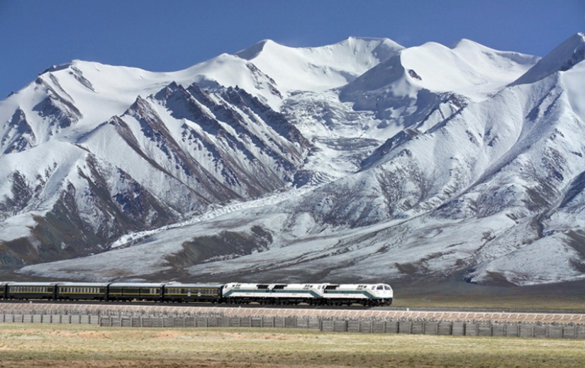 Cómo los chinos construyeron el ferrocarril al Tíbet