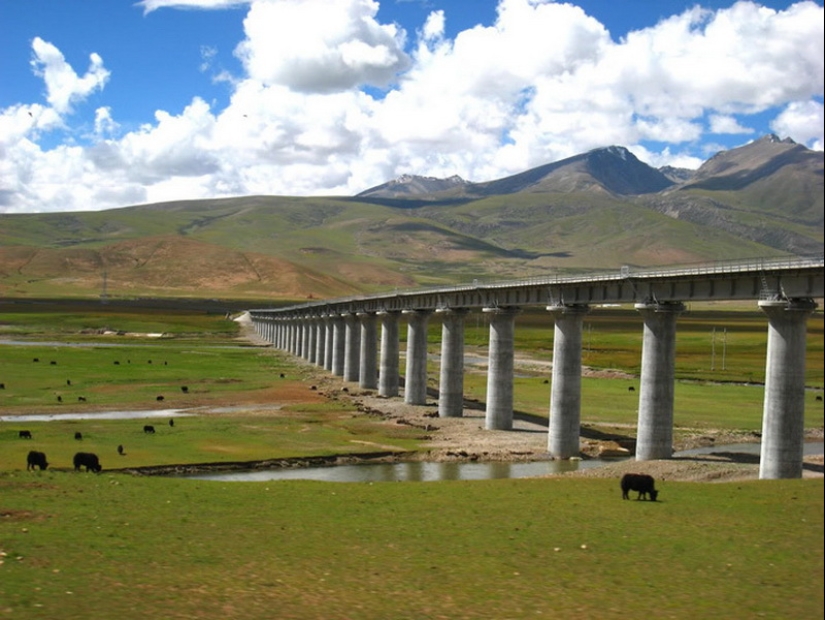 Cómo los chinos construyeron el ferrocarril al Tíbet