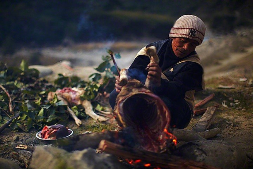 Cómo se extrae el dulce oro de Nepal