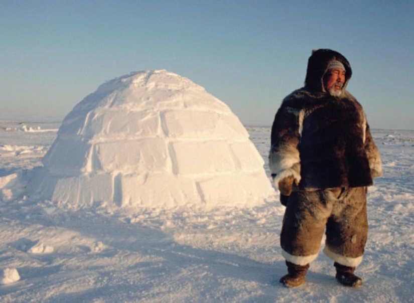 Cómo se organiza el iglú - la vivienda de invierno de los esquimales