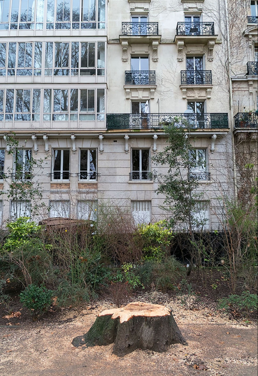 Cómo se parecen a famosos lugares de interés turístico, si se gira la cámara de la otra manera