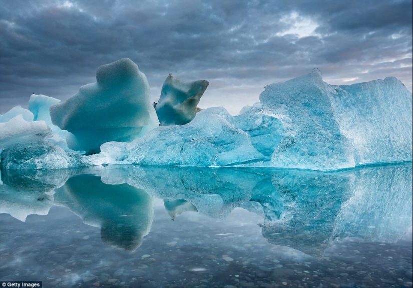 Cómo se ven los icebergs más antiguos del mundo