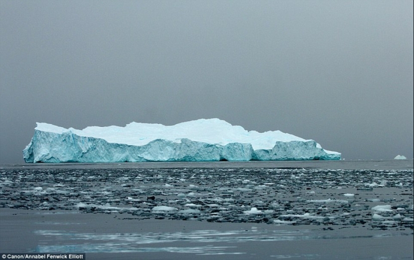 Cómo se ven los icebergs más antiguos del mundo