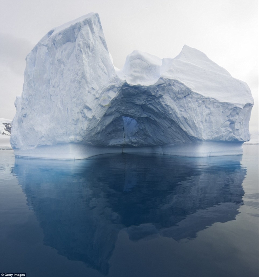 Cómo se ven los icebergs más antiguos del mundo