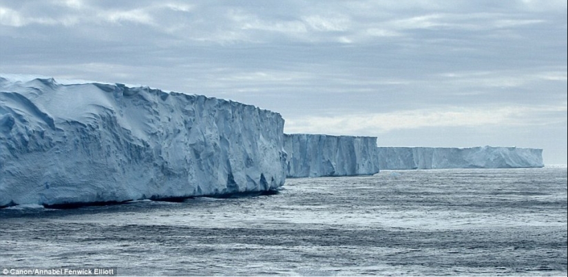 Cómo se ven los icebergs más antiguos del mundo