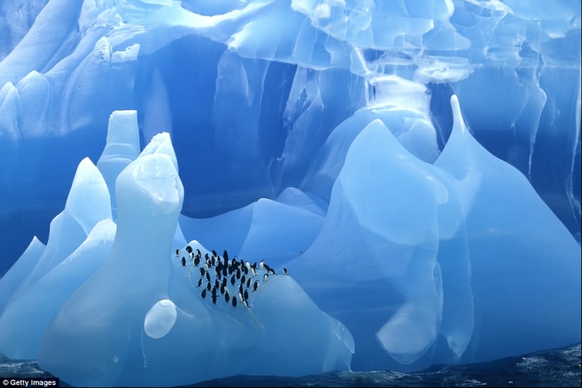 Cómo se ven los icebergs más antiguos del mundo