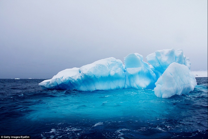 Cómo se ven los icebergs más antiguos del mundo