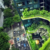 Cómo Singapur se convirtió en la metrópolis más verde del planeta