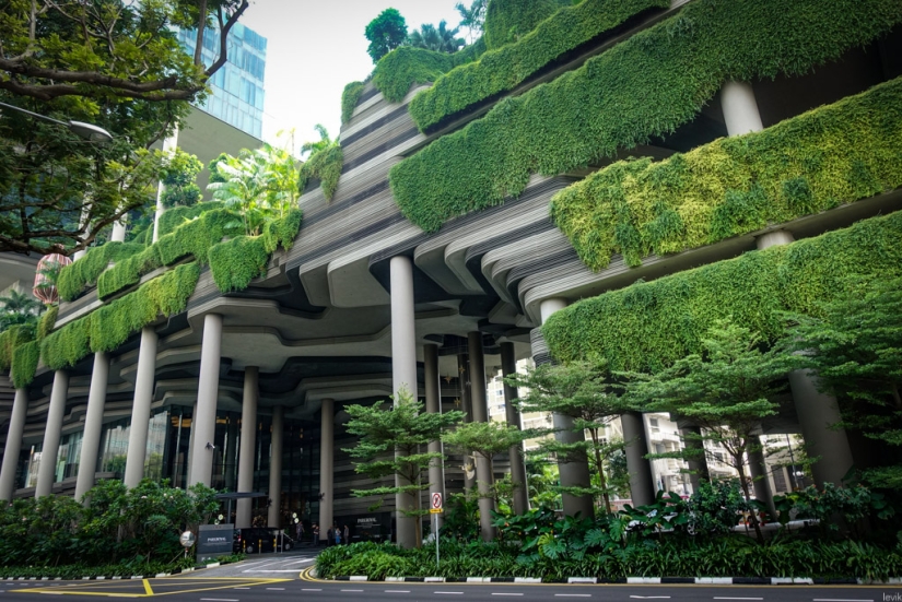 Cómo Singapur se convirtió en la metrópolis más verde del planeta