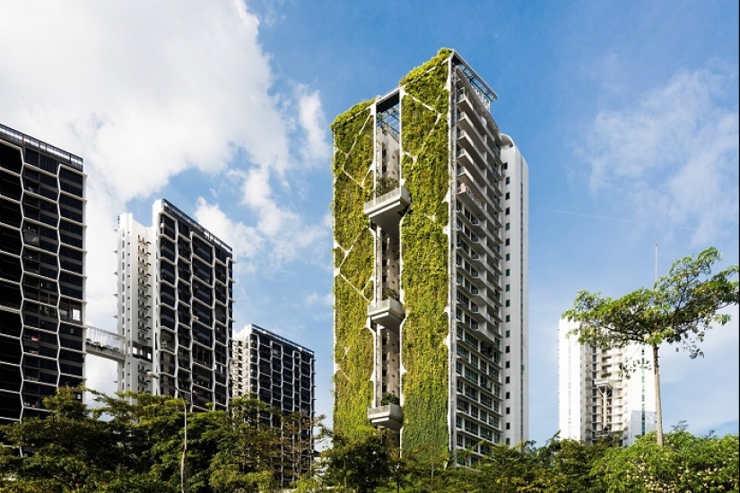 Cómo Singapur se convirtió en la metrópolis más verde del planeta