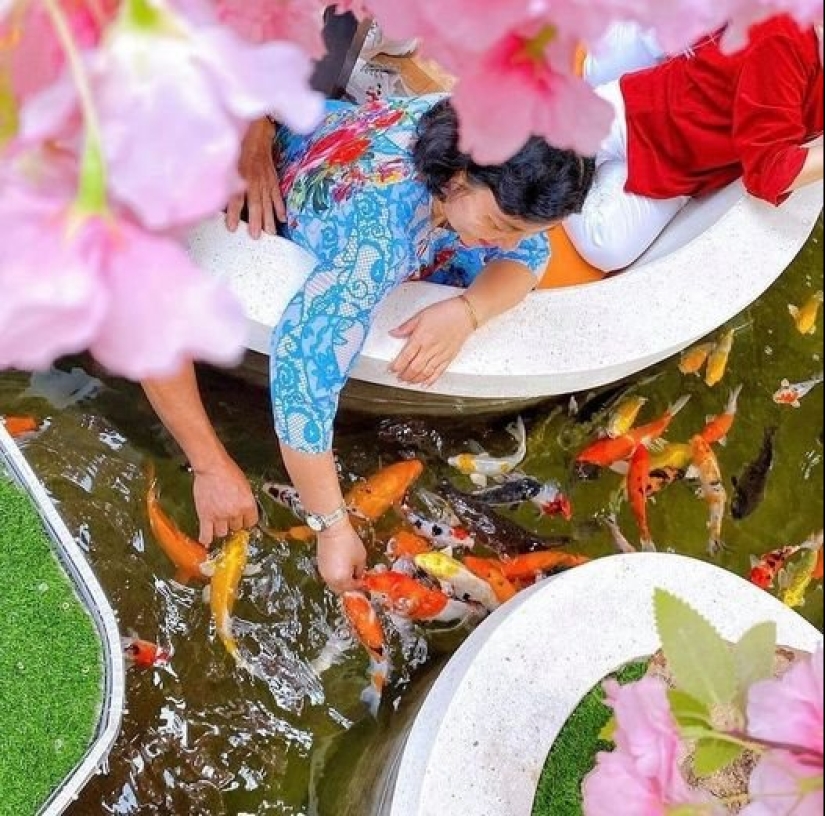 Cómo son los cafés de peces de colores en Ciudad Ho Chi Minh