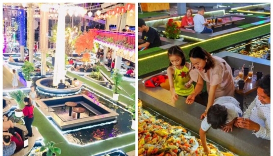 Cómo son los cafés de peces de colores en Ciudad Ho Chi Minh