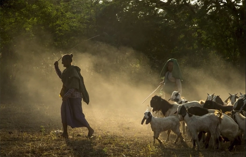 Cómo tomar una foto al estilo de National Geographic: 7 reglas clave de Bob Holmes