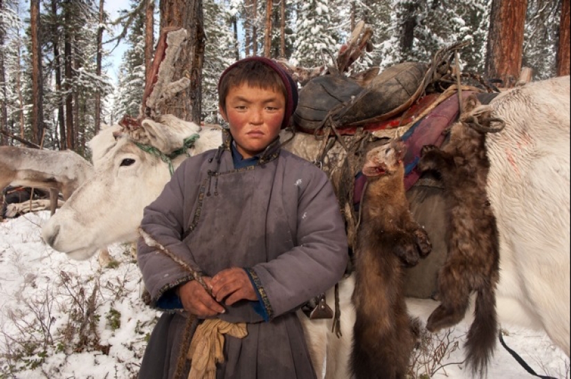 Cómo vive la tribu de pastores de renos de Mongolia, en peligro de extinción