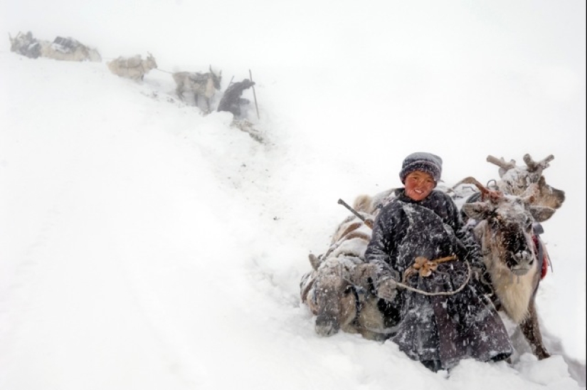 Cómo vive la tribu de pastores de renos de Mongolia, en peligro de extinción