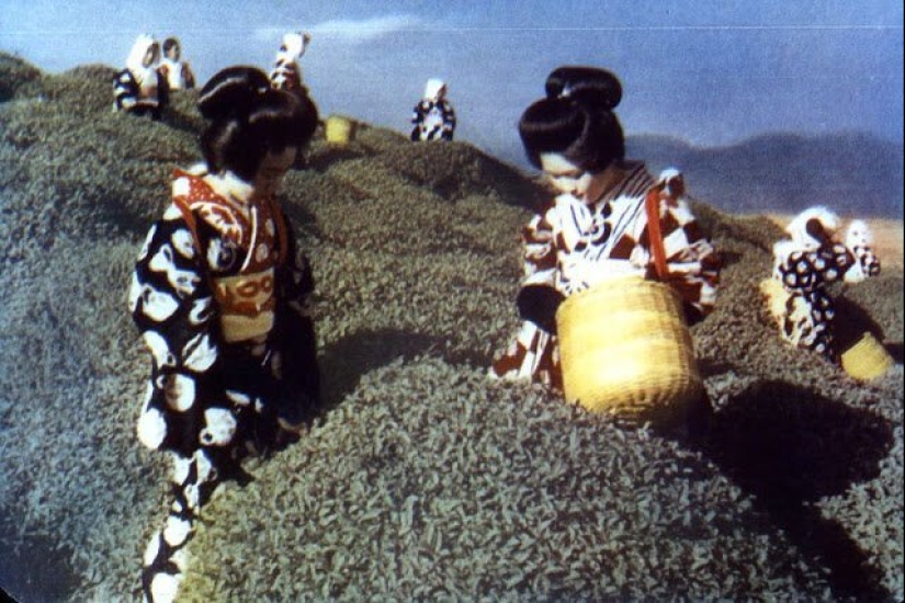 Color photographs of Japan in the beginning of 1950