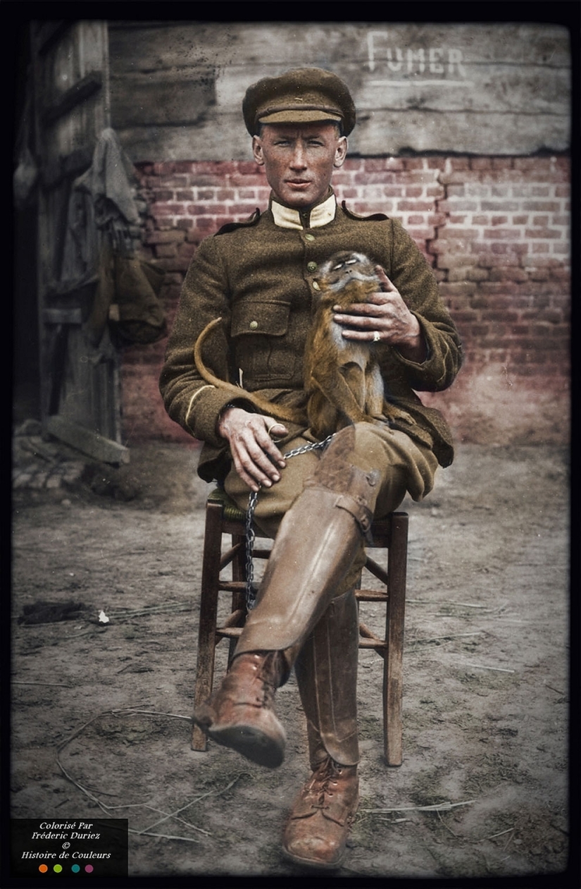 Color photographs of the First World War that were taken as if yesterday