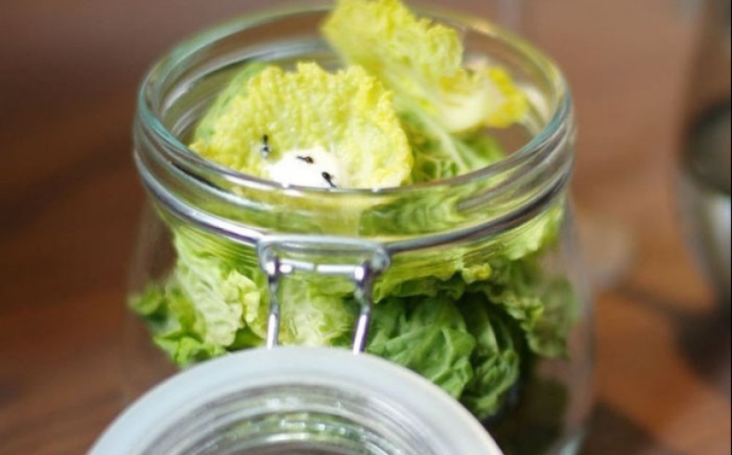 Comer a los vivos: 10 de los más sádicos platos típicos en el mundo