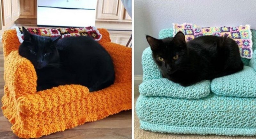 Con tus propias manos: divertidos sofás de punto para gatos