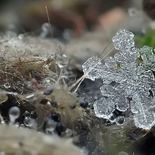 Copos de nieve del fotógrafo Andrey Osokin