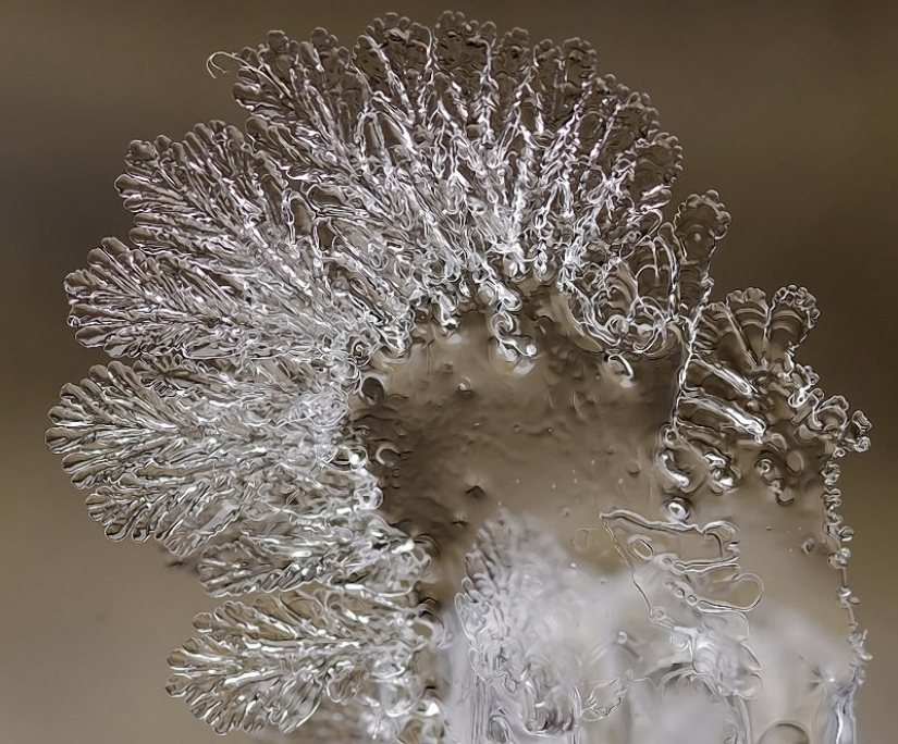 Copos de nieve del fotógrafo Andrey Osokin