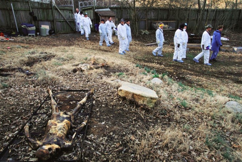 Corpse farms: for whom a terrible "harvest" is ripening in the fields and forests