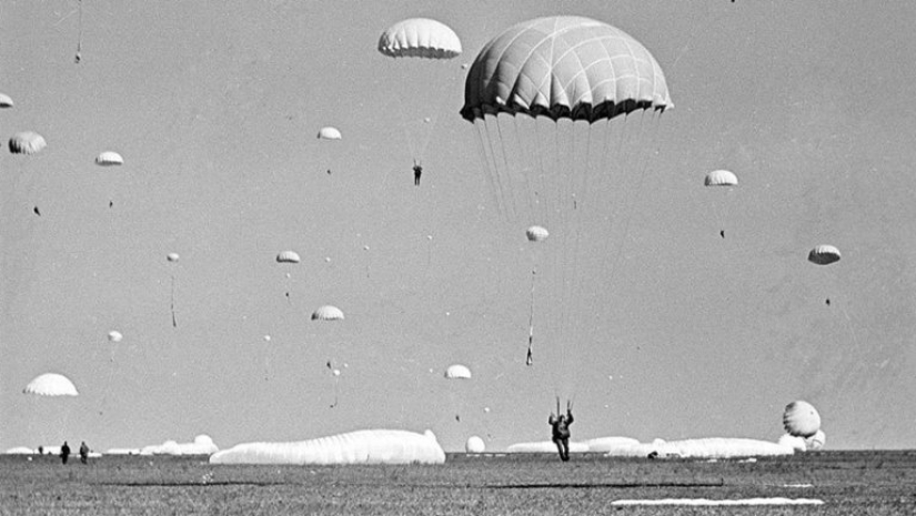 Cotton wool, solarium, tea bags and 12 more inventions that appeared thanks to the First World War