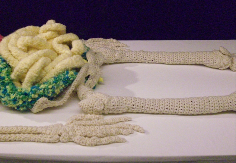 Crazy pens: a Canadian craftswoman has knitted an accurate anatomical model of a human skeleton