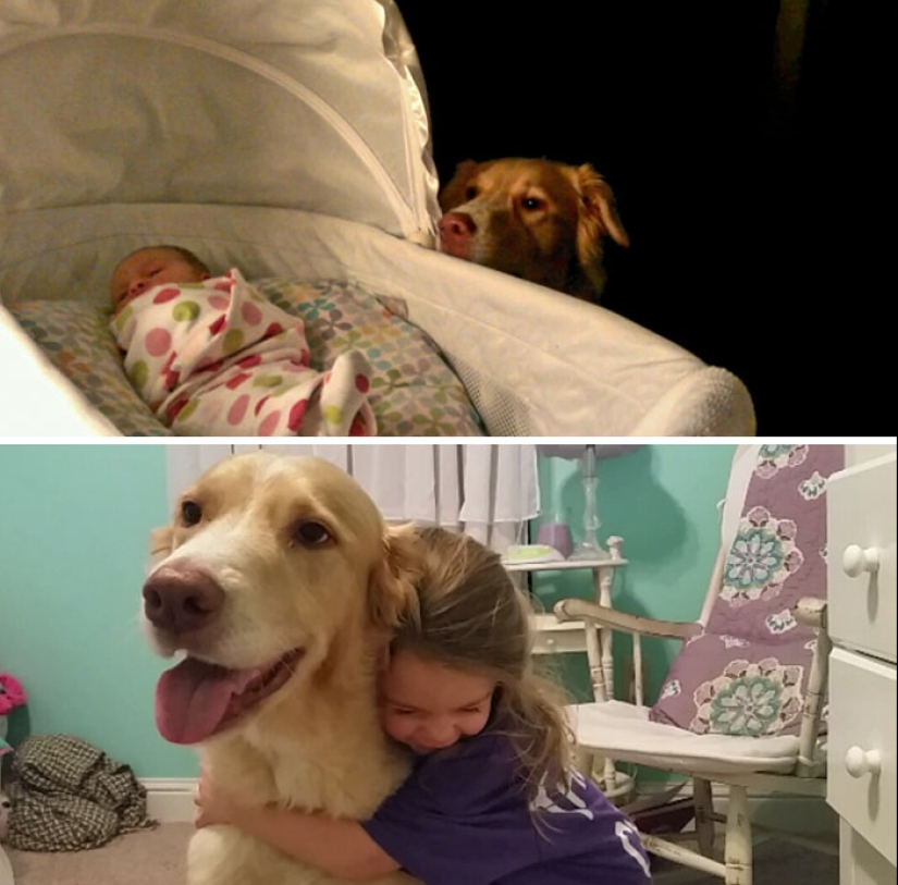 Crecidos juntos: Perros y sus dueños al comienzo de la amistad y después de muchos años