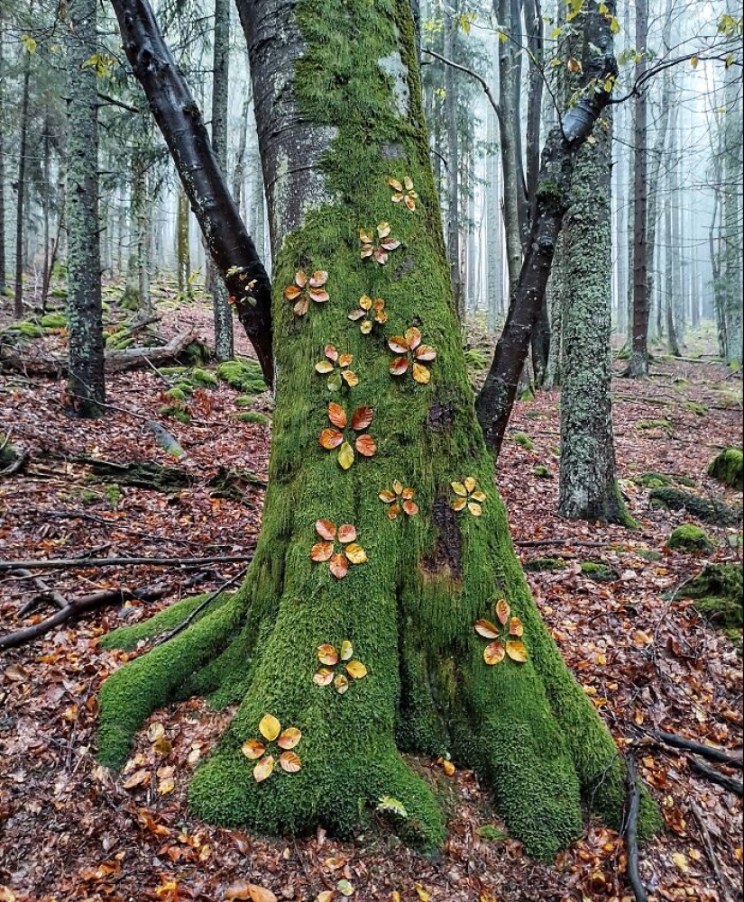 Creo arte fugaz con los regalos de la naturaleza