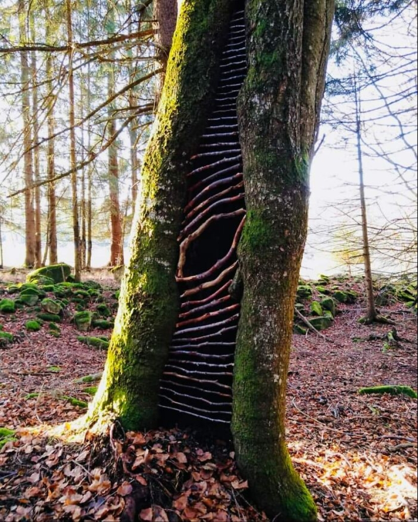 Creo arte fugaz con los regalos de la naturaleza