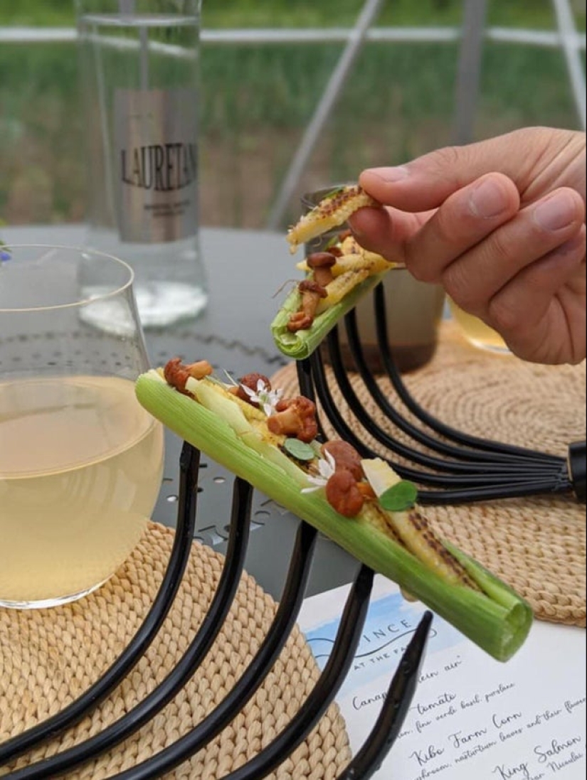 Croutons on a shovel: 22 examples of a very strange serving of dishes