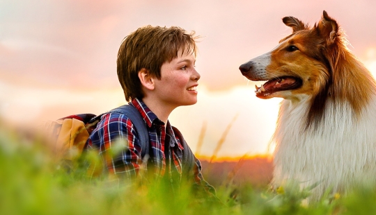 Dame una pata, amigo! Trágicos destinos de animales que fueron filmados en películas de Hollywood