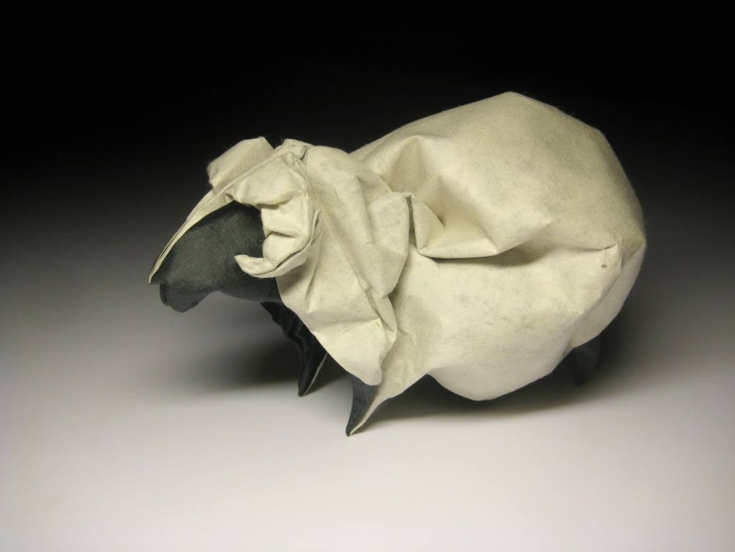 Damp: origami by Hoang Tien Kuet