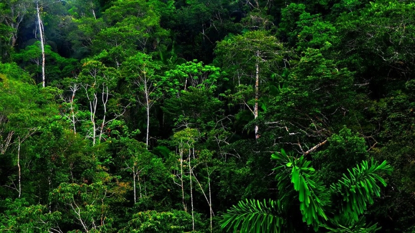 Dangerous far away: 10 lugares increíblemente hermosos, pero impresionantes