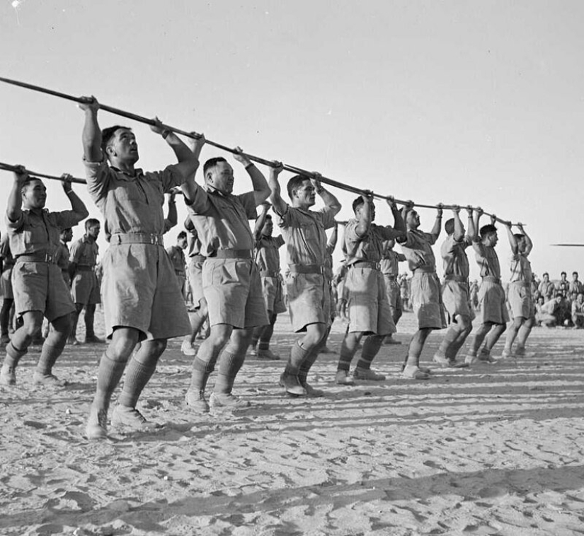 Danza de guerra de la nueva zelanda Maorí batallón en el desierto