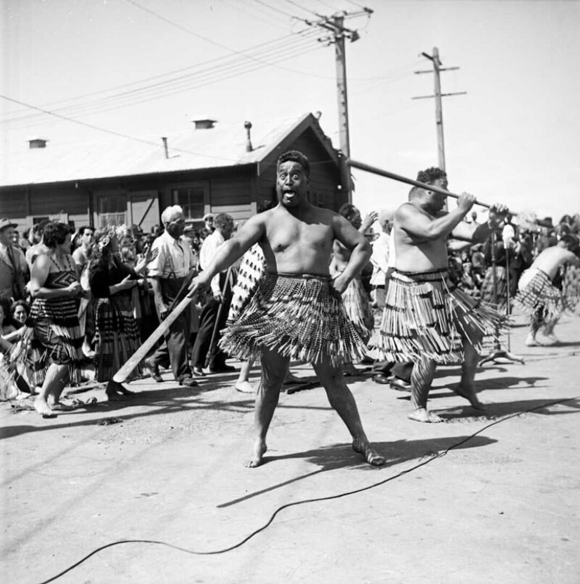 Danza de guerra de la nueva zelanda Maorí batallón en el desierto