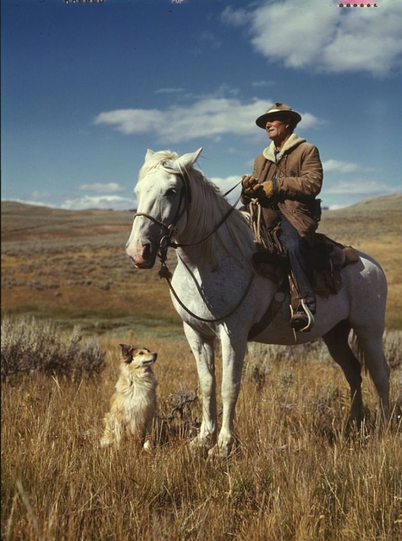 De caballos a "Vado": cómo el Salvaje Oeste fue "domesticado"