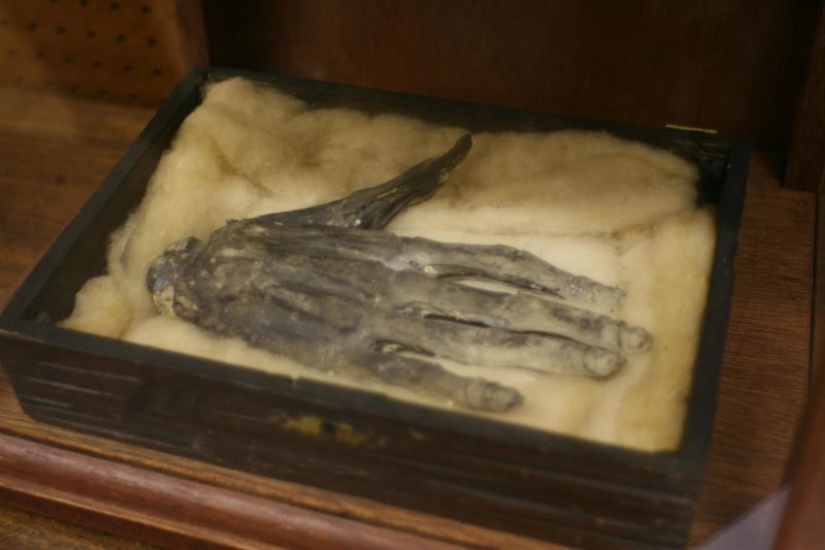 De la mano de la gloria — el misterioso exposición del Museo Británico Whitby