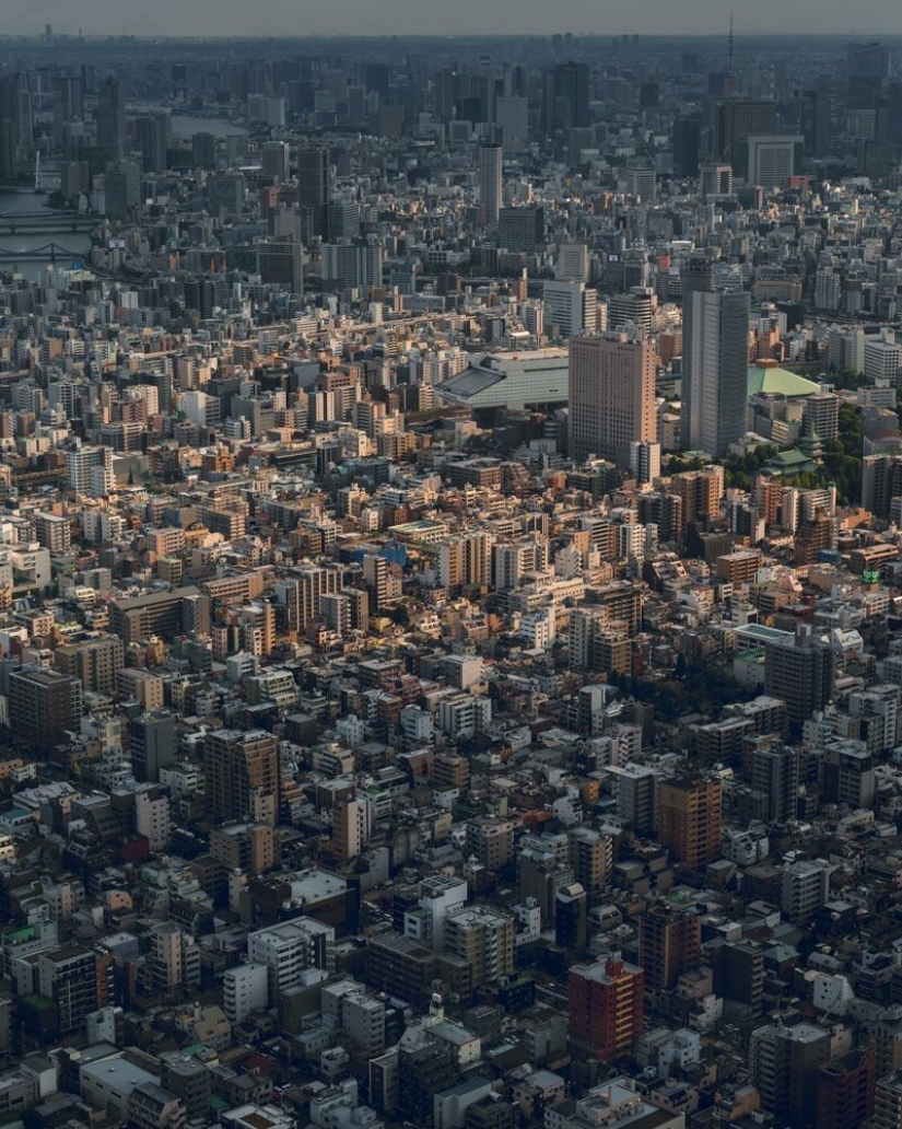 De noche y de día: impresionantes paisajes de la ciudad de Japón