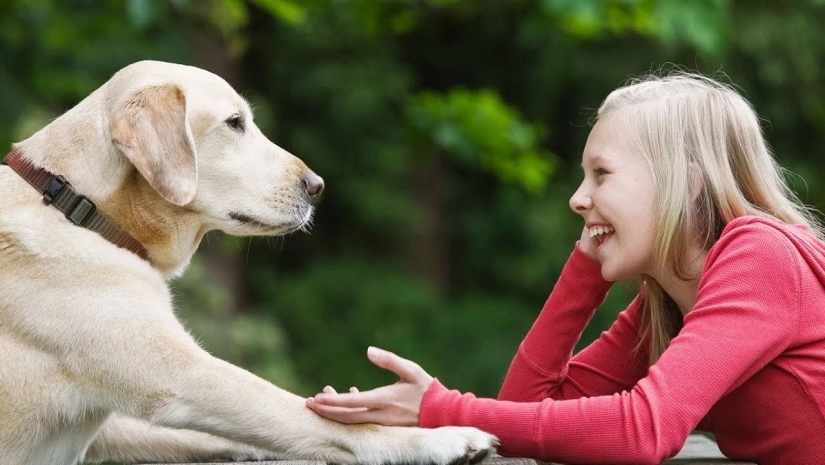 De qué te está hablando el perro