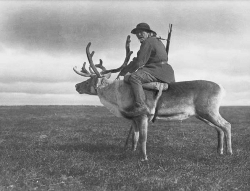 De siberia Occidental: en 1943 cogido una pandilla Evenk Pavlova, que saquearon las minas de oro